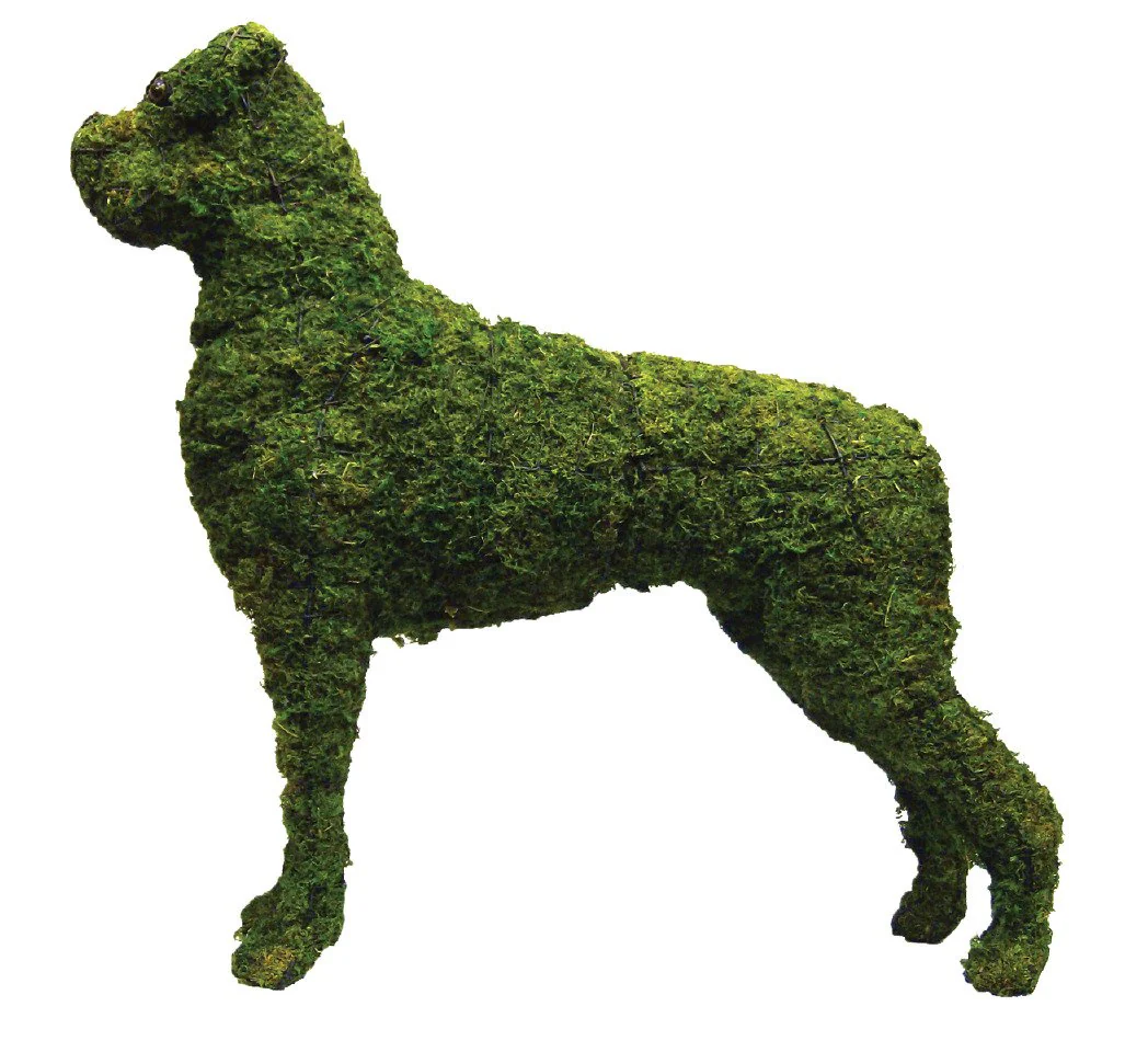 Dog and Cat Topiary Forms